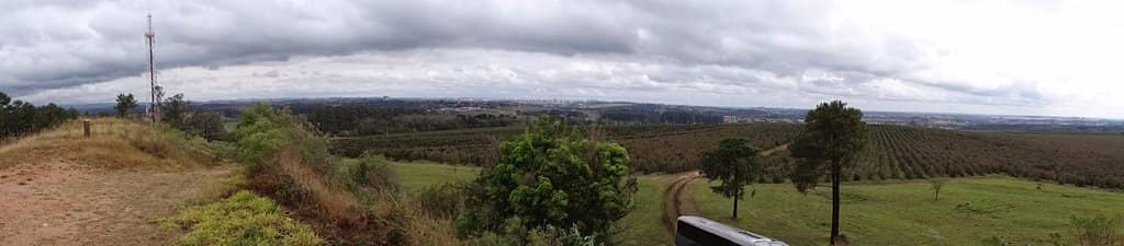 Coffee Farm Tour
