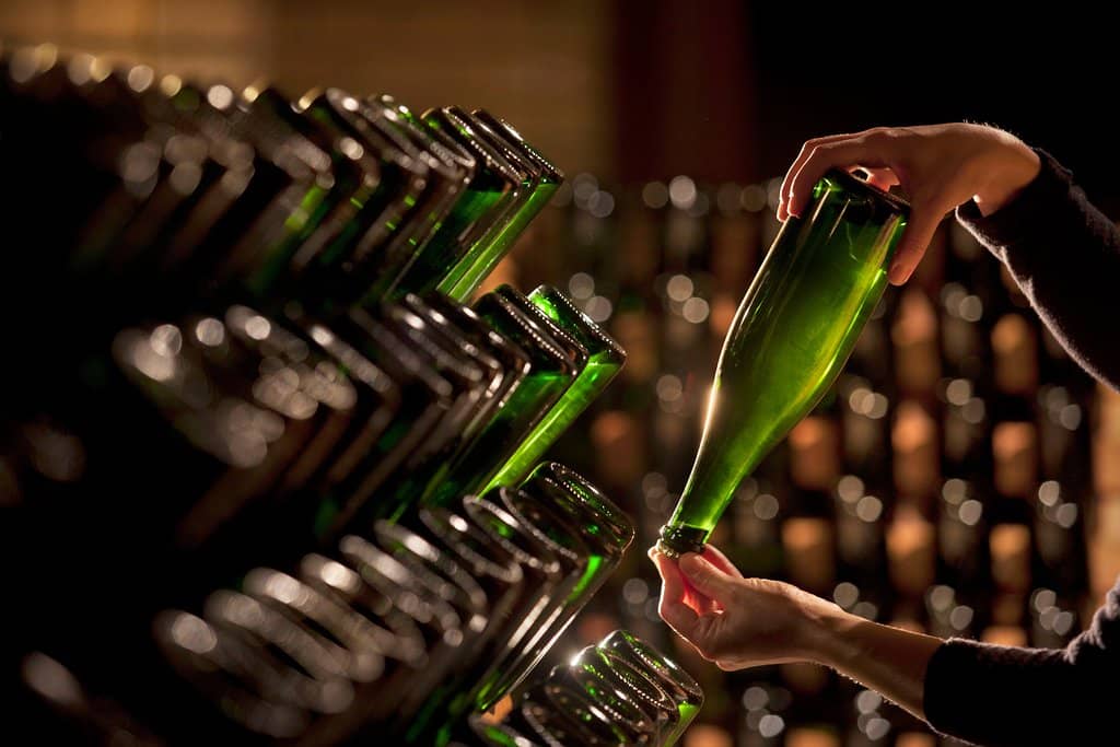 Wine Cellar Tour