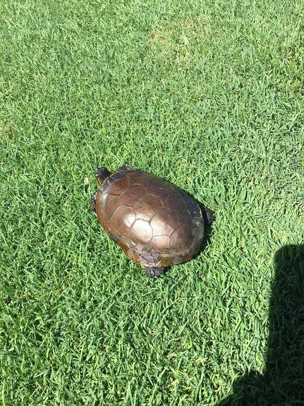 Scenic Views and Ambiance