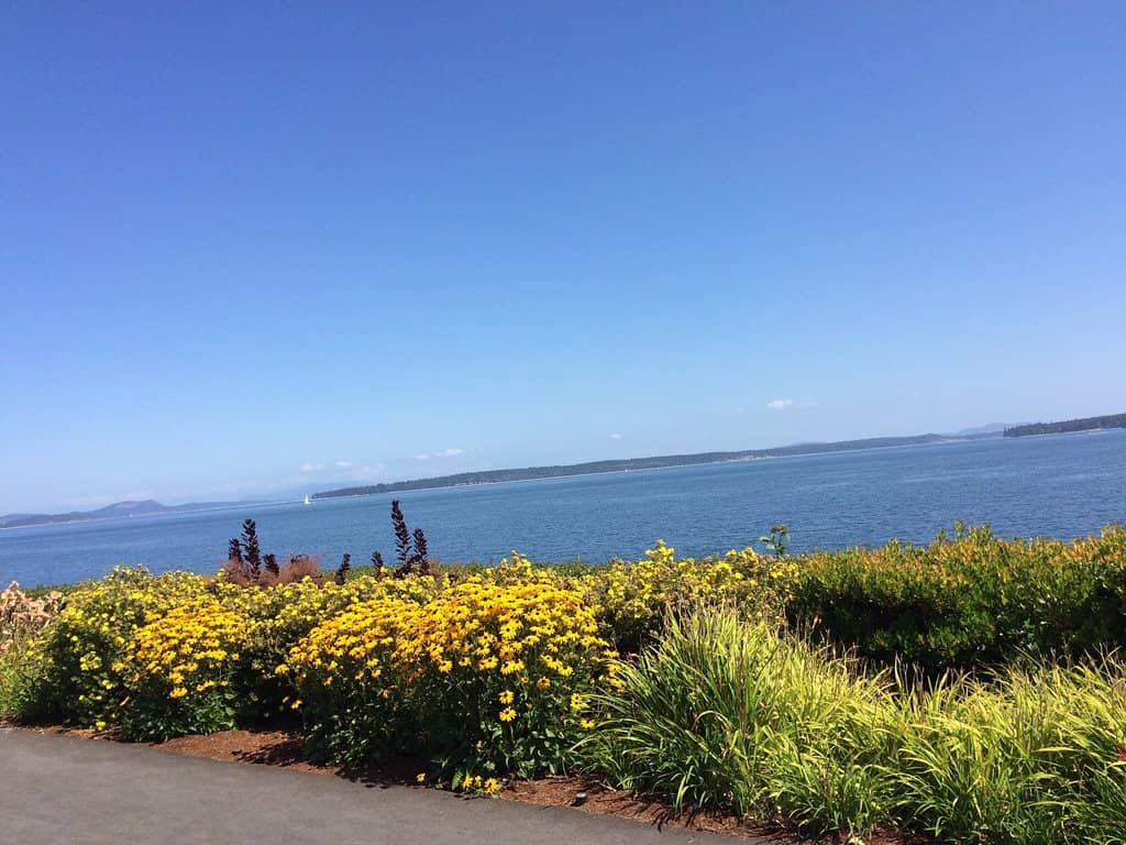 Coastal Views & Wildlife