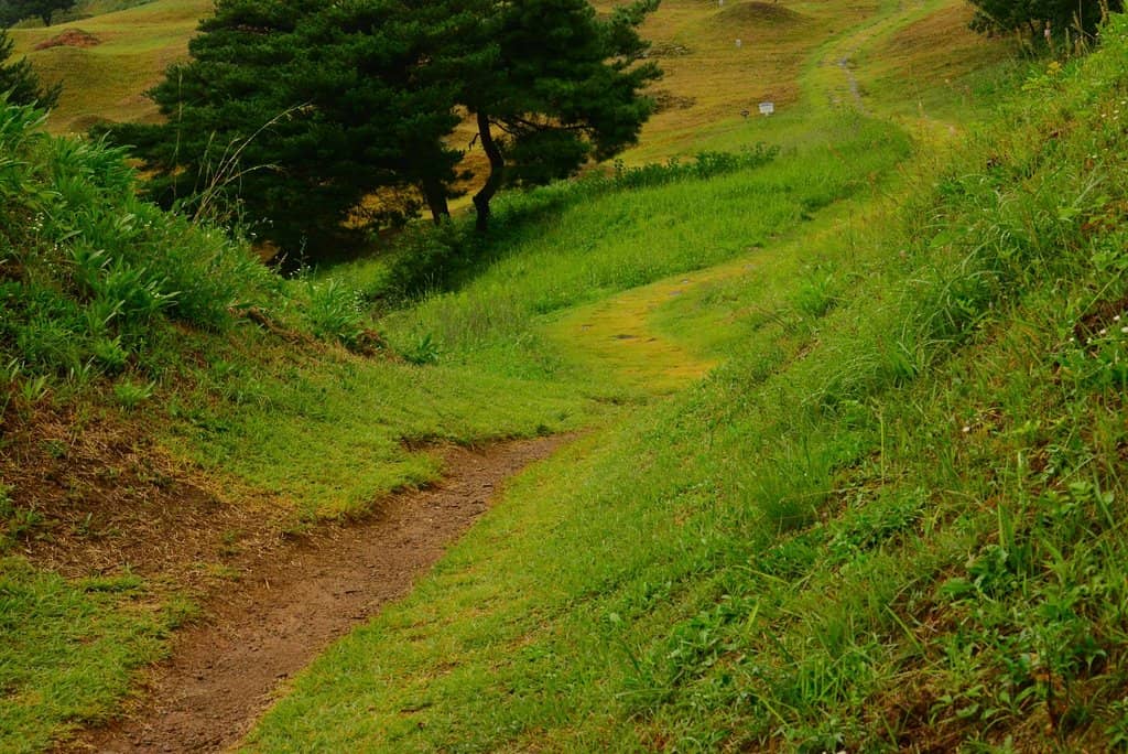 Ancient Burial Mounds