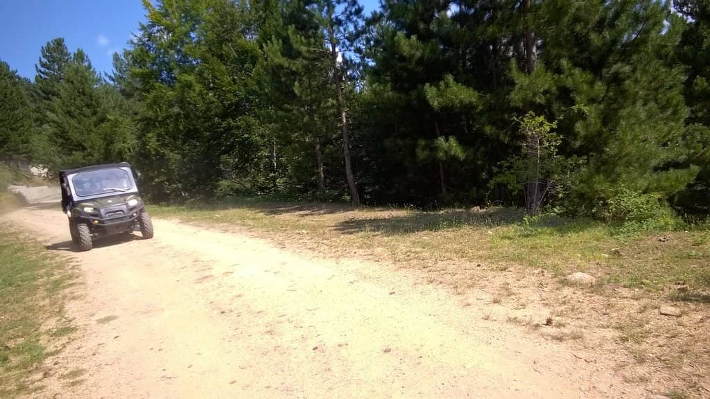 Summer Bob Track