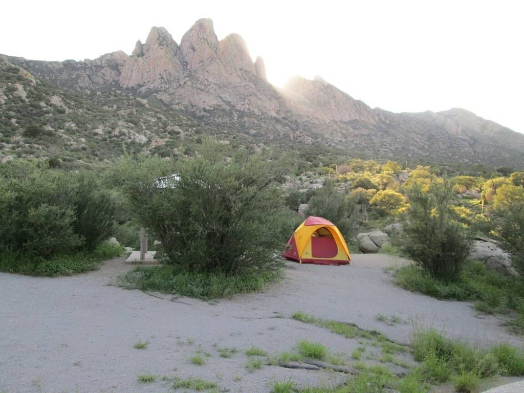 Organ Mountains Views