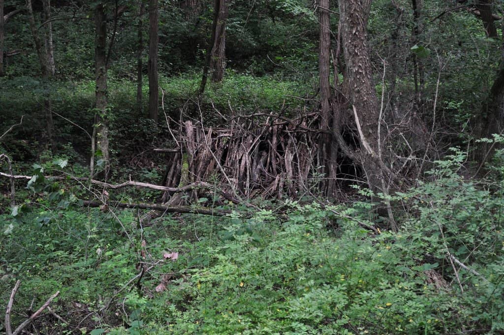 Illinois River Bluff Trail