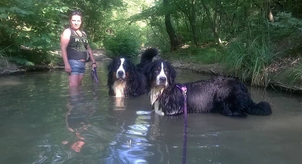 Val Rosandra Waterfall