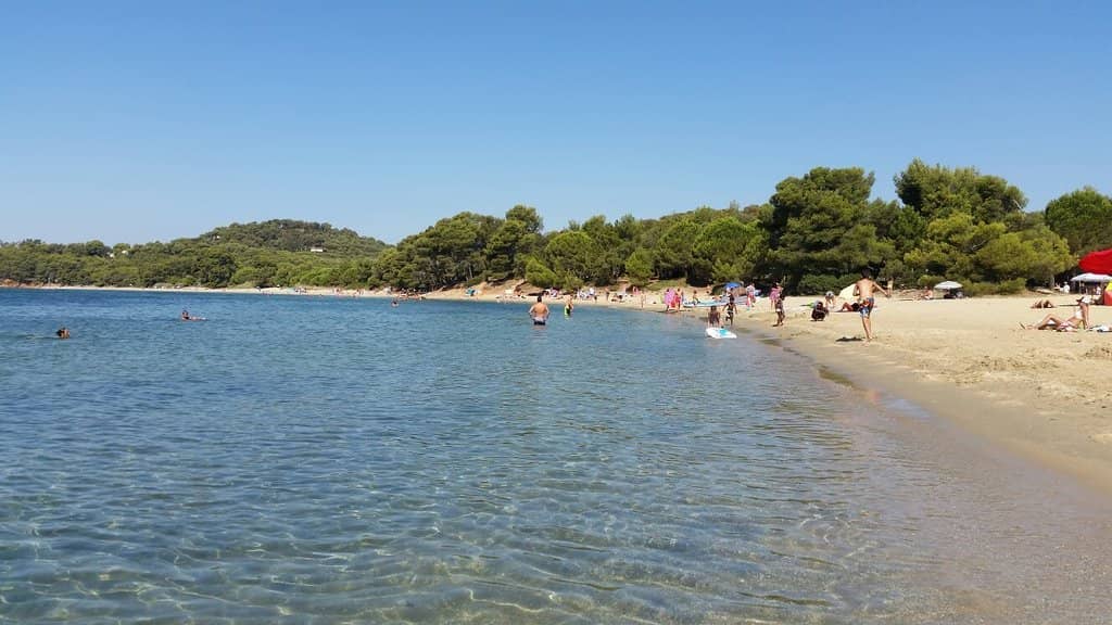 Pristine Wild Coastline