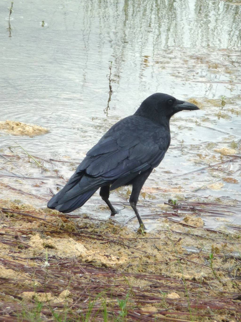 Abundant Hiking Trails