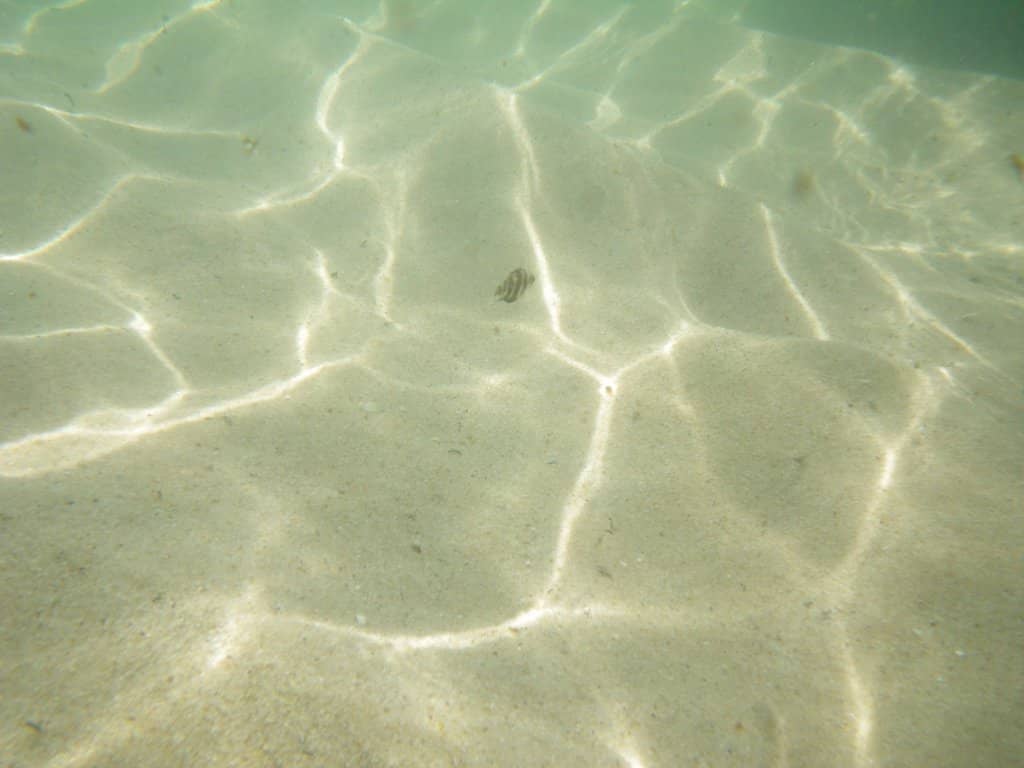 Secluded Natural Beauty