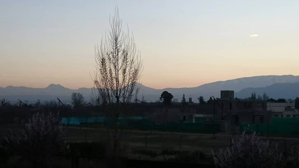 Vineyard Tours and Wine Tastings