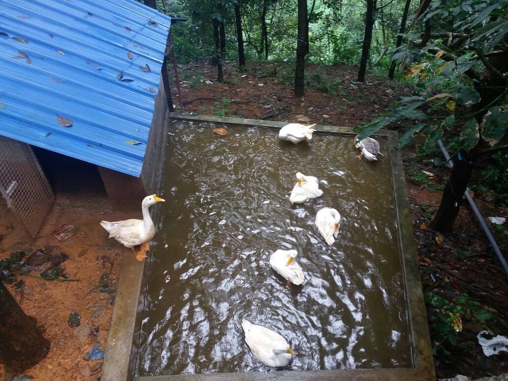 Kariyathumpara