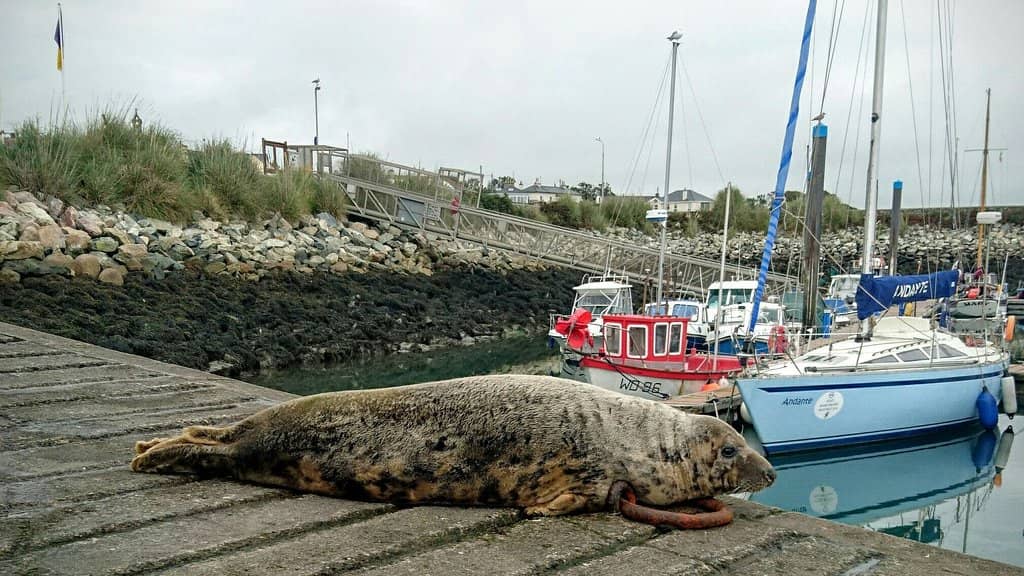 Possible Temple of Melkart