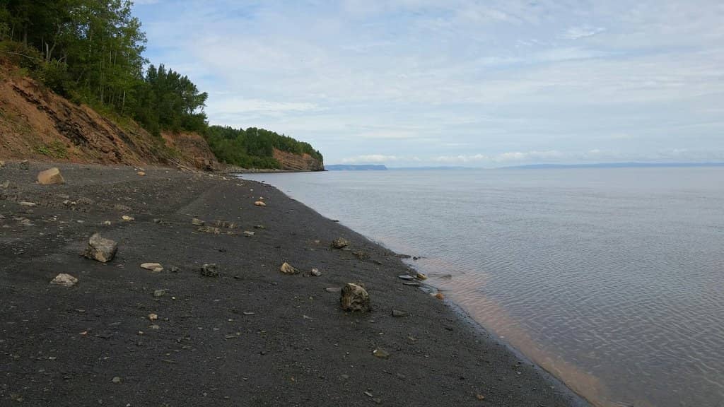 Avon River Fossil Discoveries