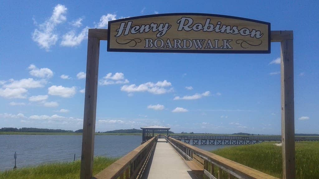 Peaceful Boardwalk Stroll