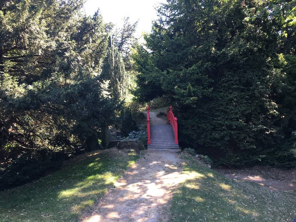 Spacious Grassy Fields