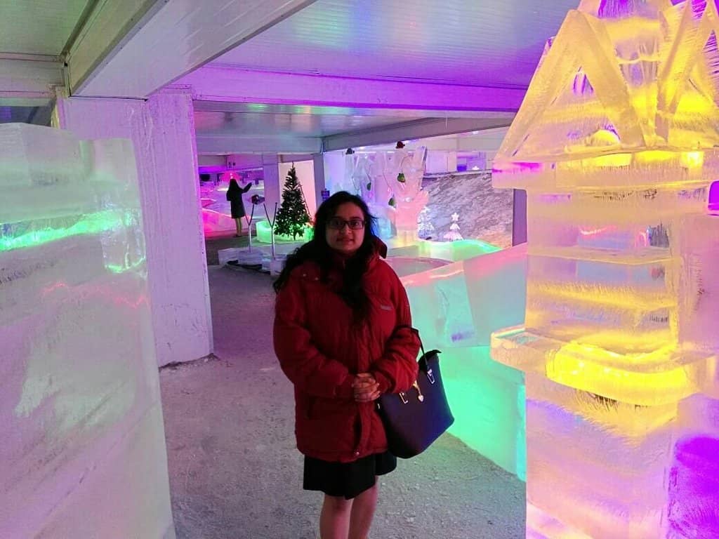 Aurora Lights Spectacle