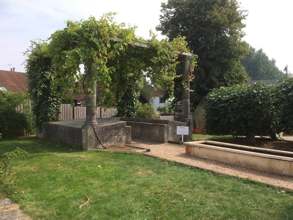 Artifacts and History