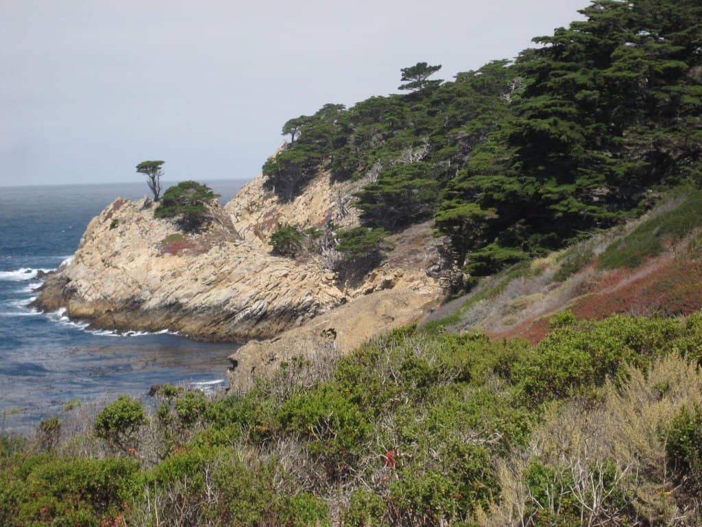 Carmel River Trails