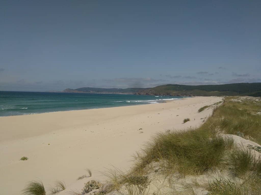 Surfer's Paradise