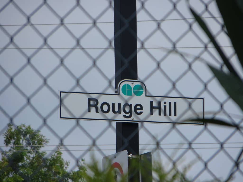 Forest and Hill Trails