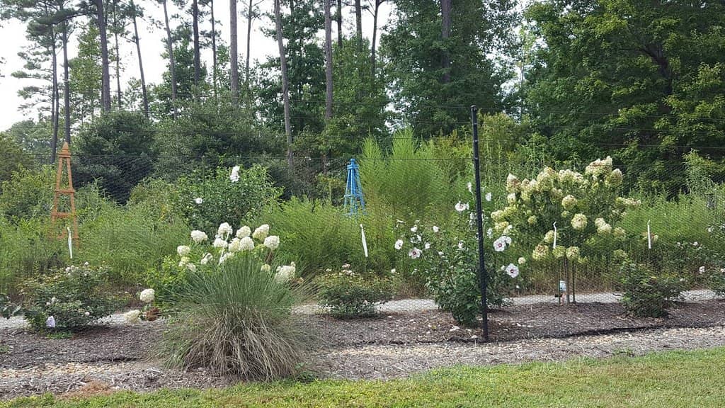 Historical Prison Site