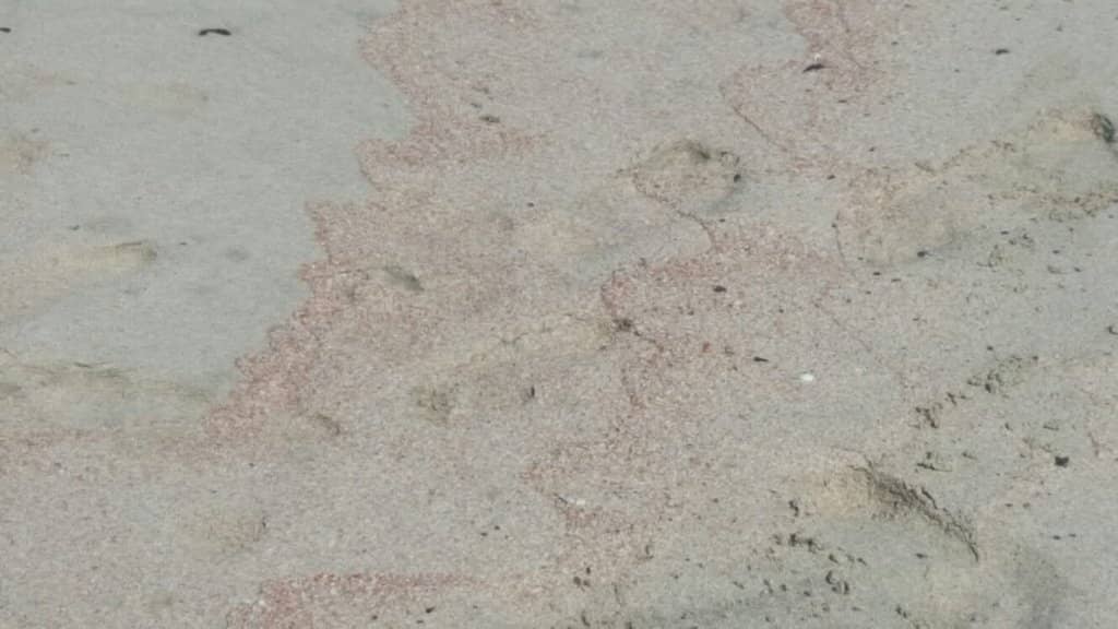 Favàritx Lighthouse Views