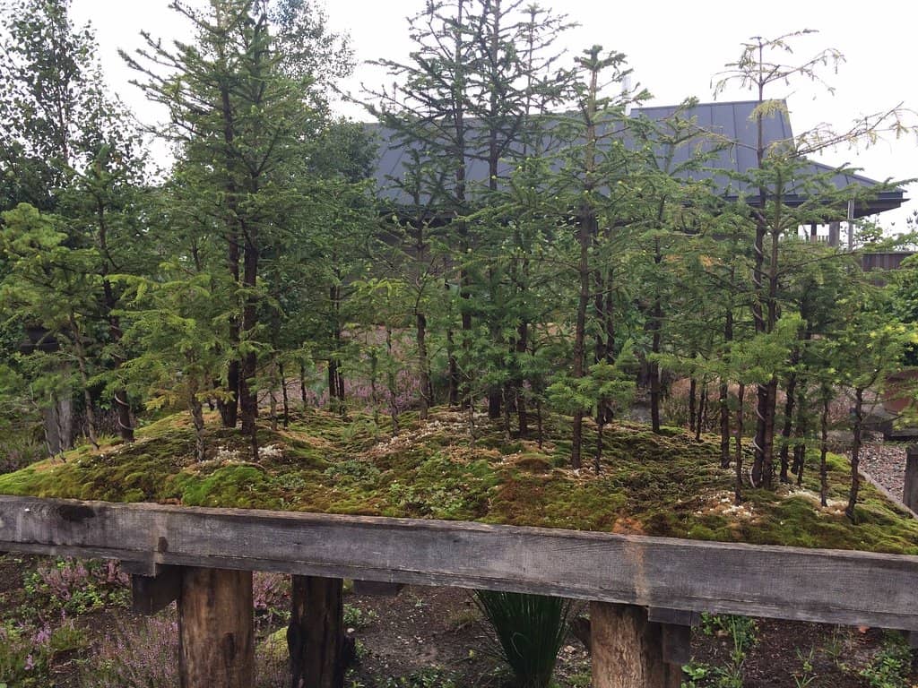 Diverse Plant Collections