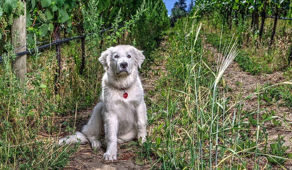 Narrative Gin Tasting