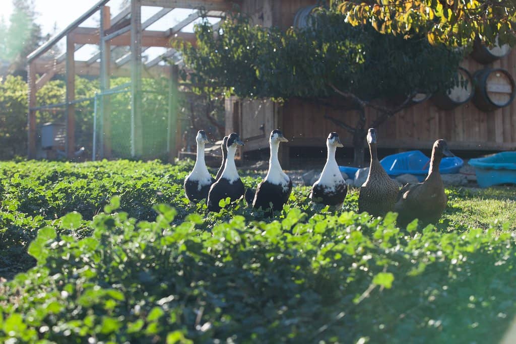 Modern Tasting Lounge