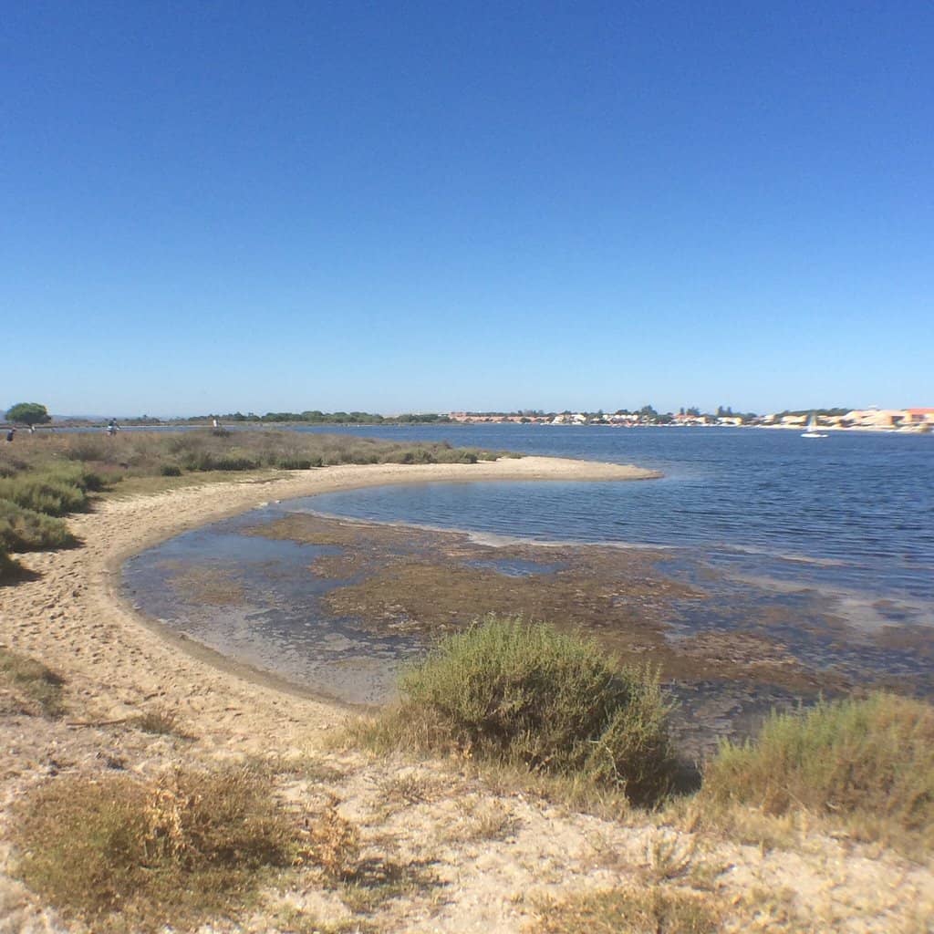 Lagoon Walks