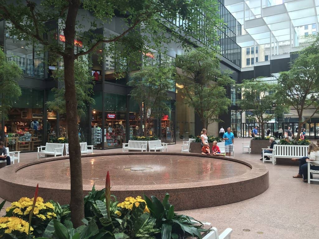 Winter Skyway Access