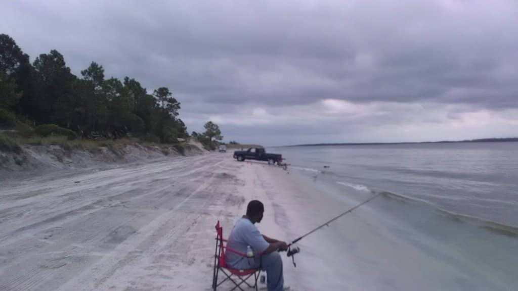 Shark Tooth Hunting