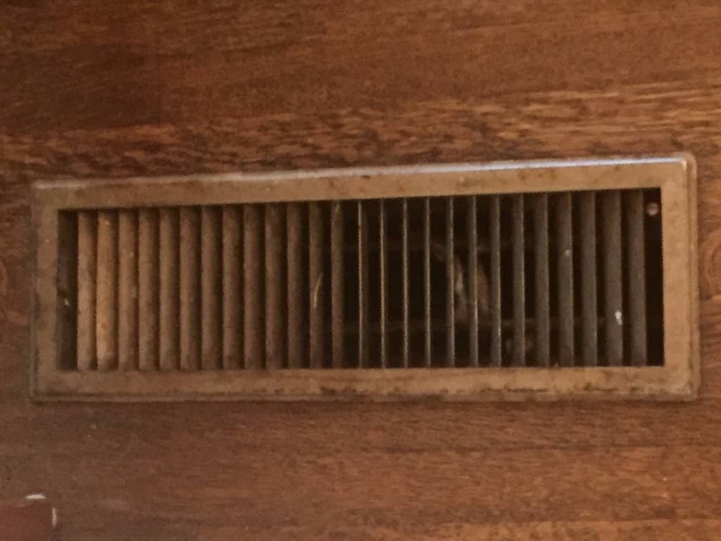 Knowledgeable Docents