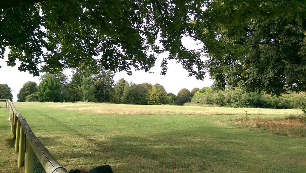 Rolling Grasslands
