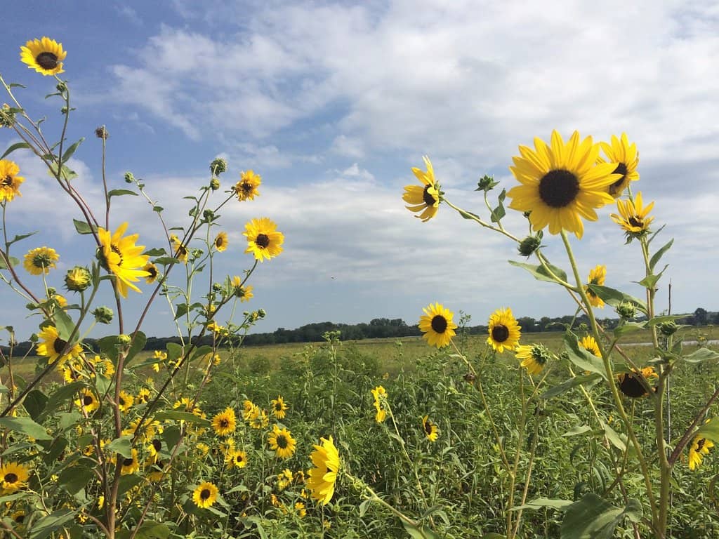 Discovery Center Exhibits