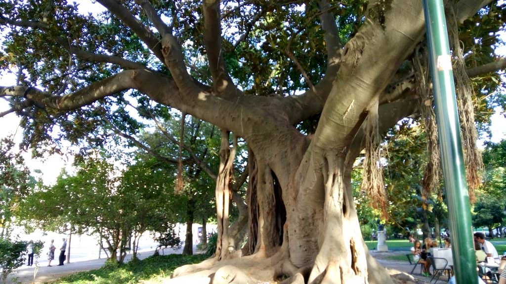 Charming Kiosks & Bistro