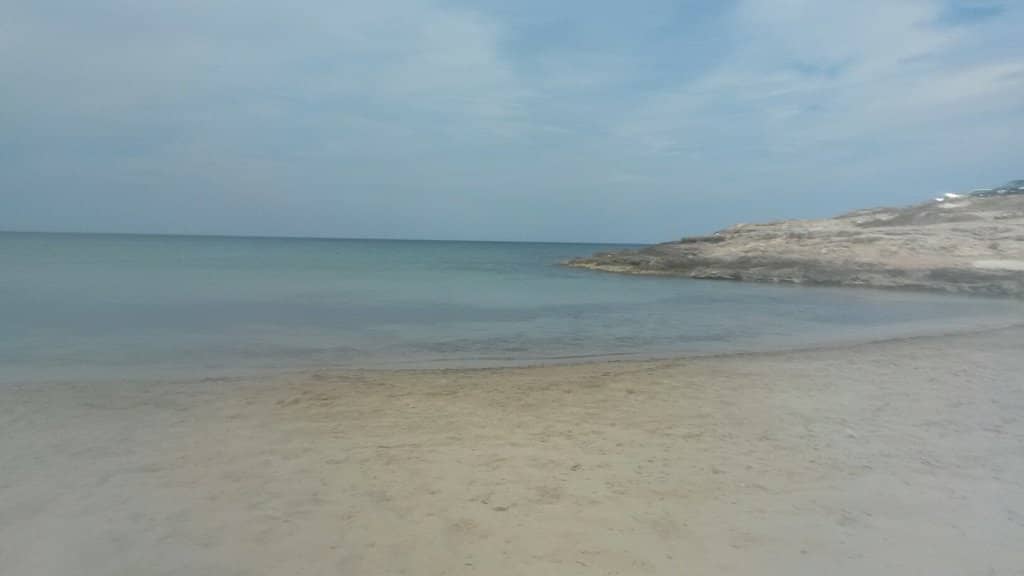 Wild Adriatic Coastline