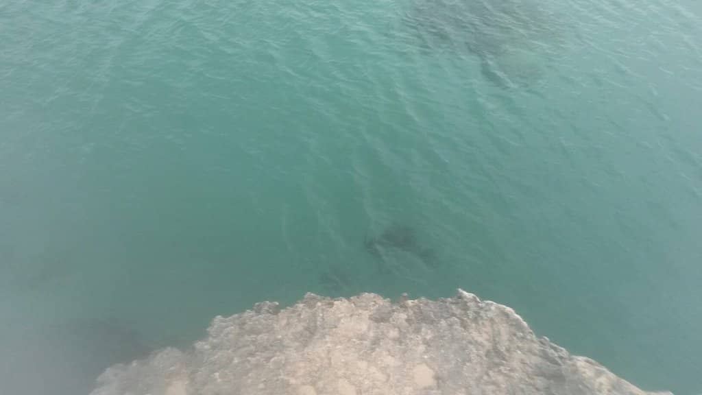 Adjacent Holiday Village Cafe