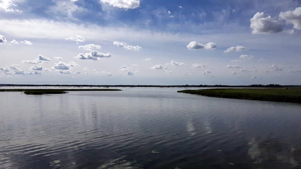 John E. Poole Wetland Boardwalk
