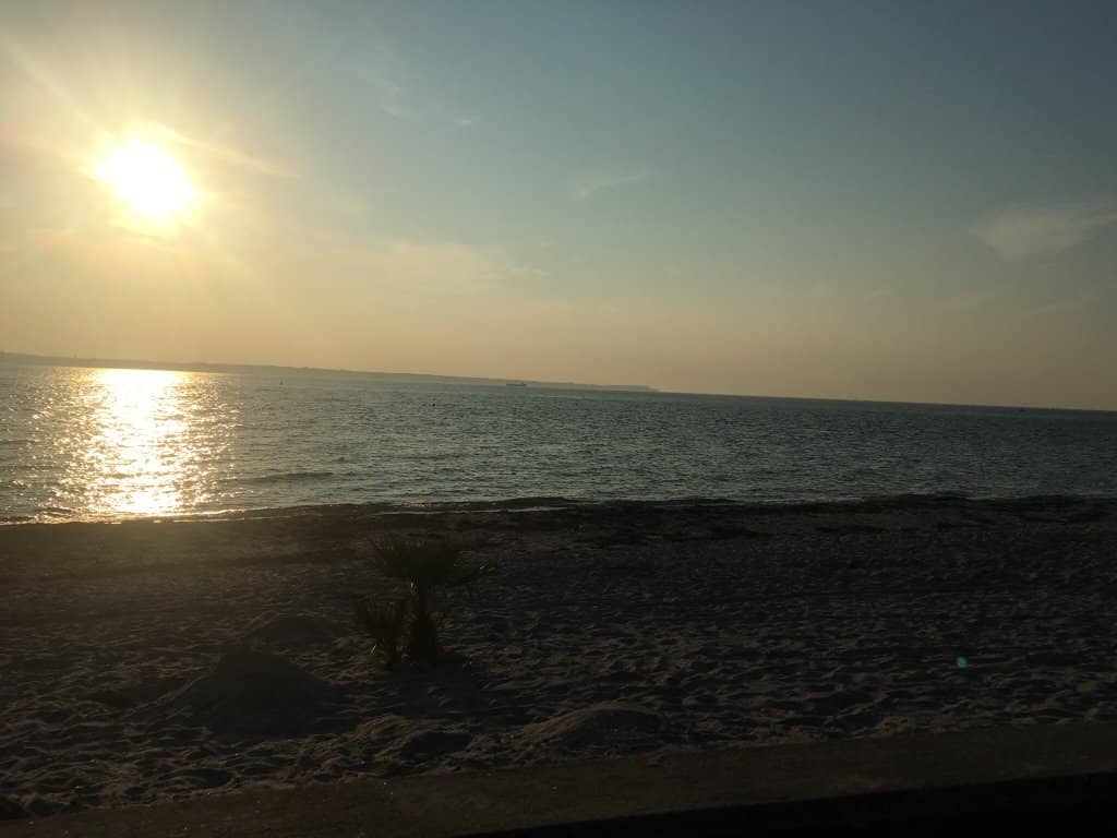 Unexpected Sandy Shore