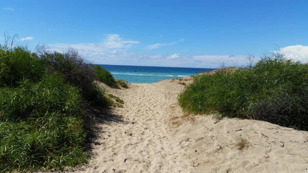 Family-Friendly Shallow Sea