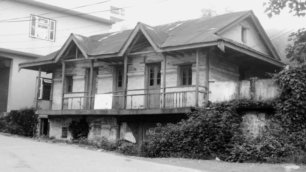 Expansive Tea Plantations