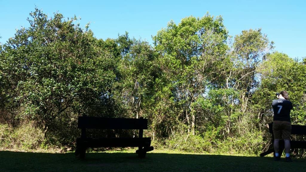 Paragliding Launch Sites
