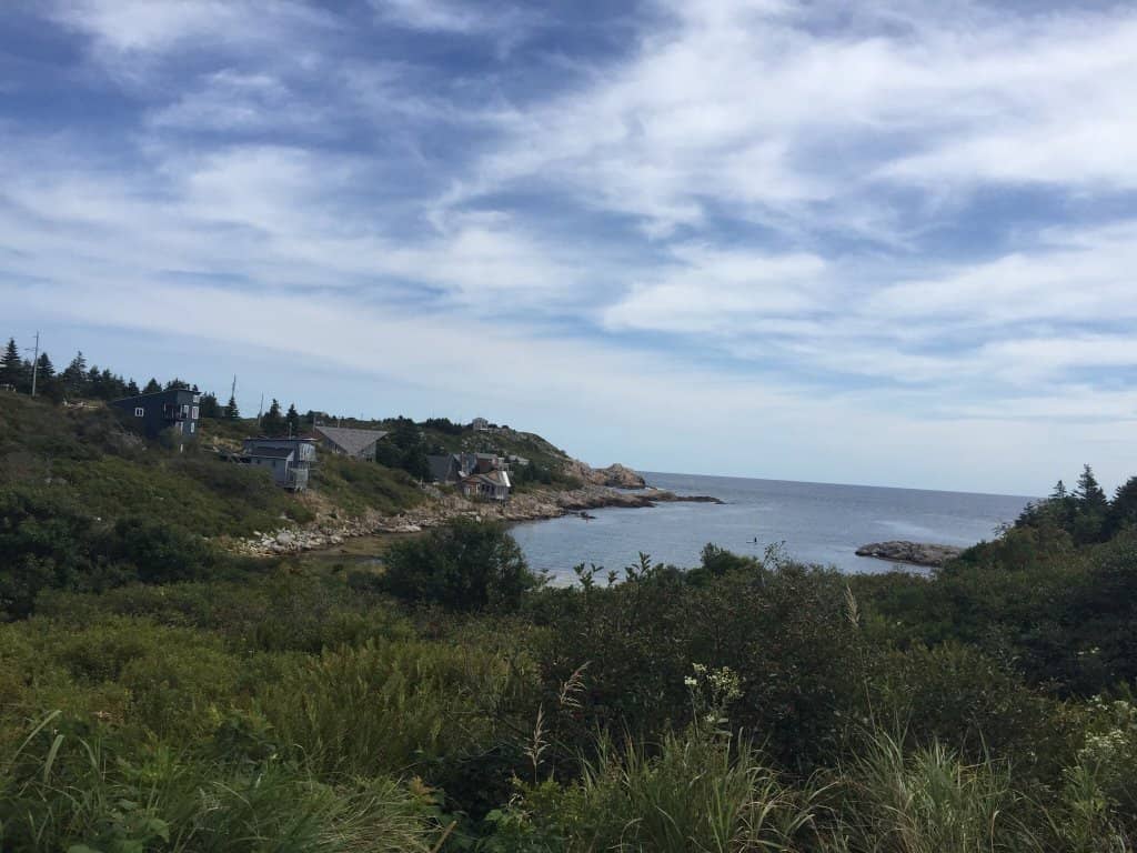 Seal Spotting Opportunities