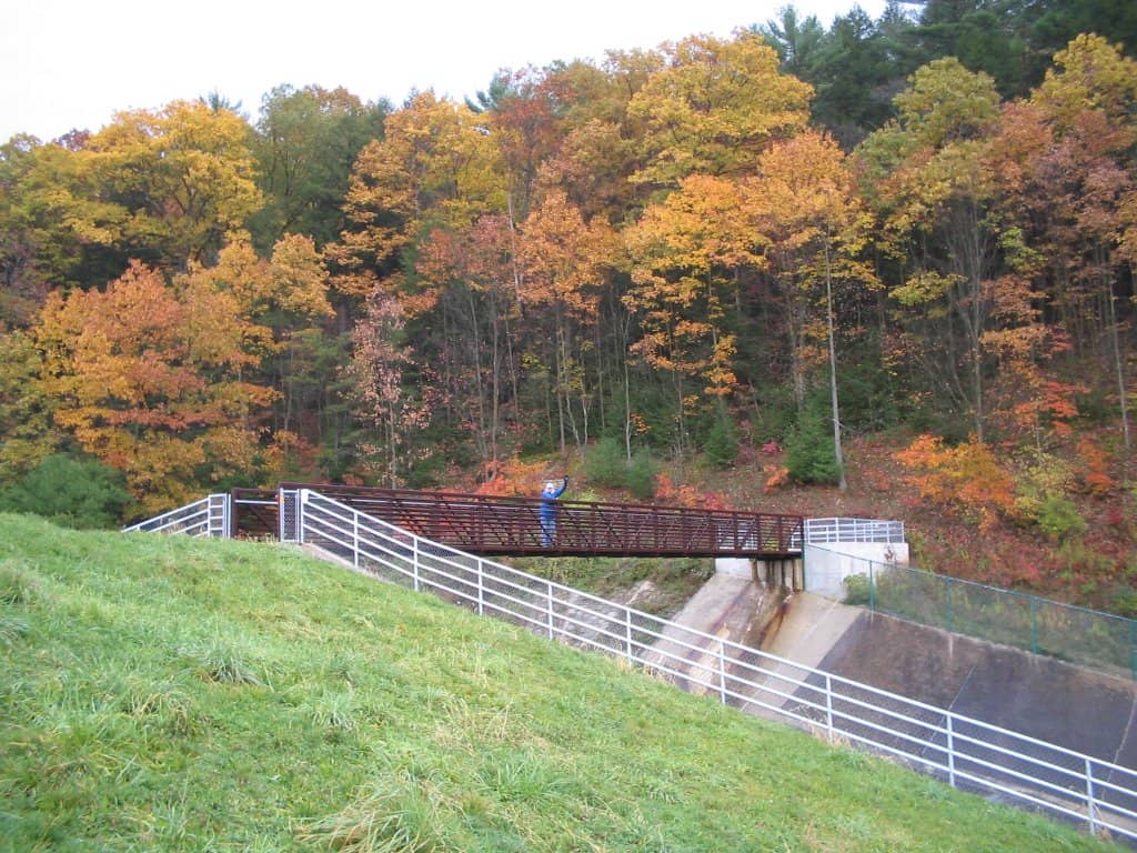 Stargazing Opportunities