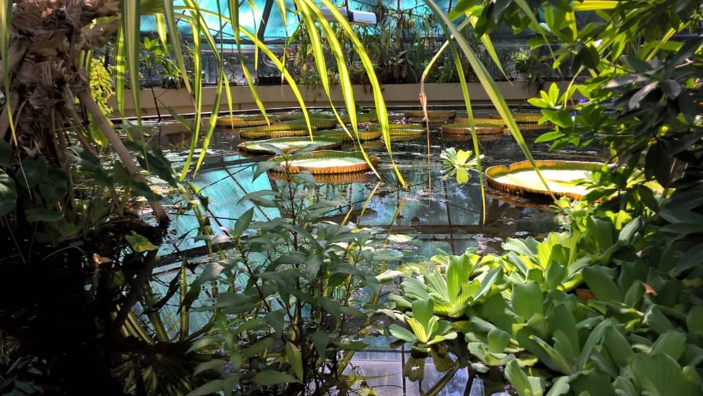 Tropical Greenhouses