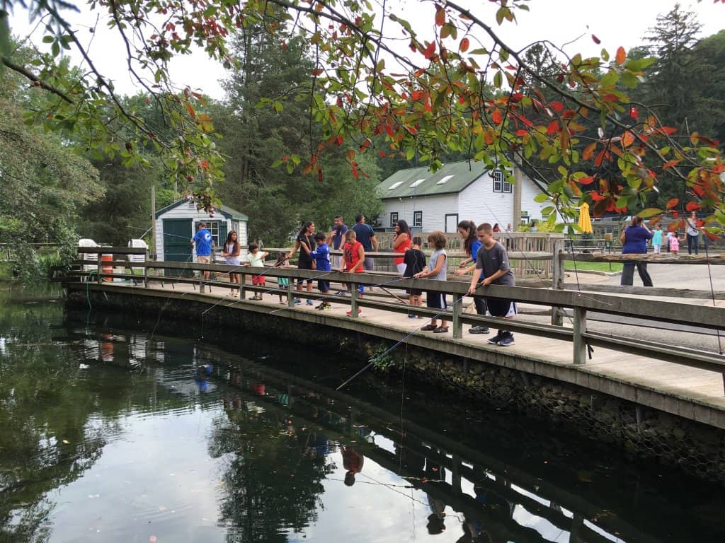 Reptile & Amphibian Center