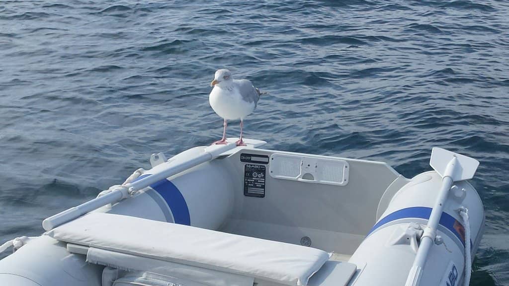 Sailing School Views