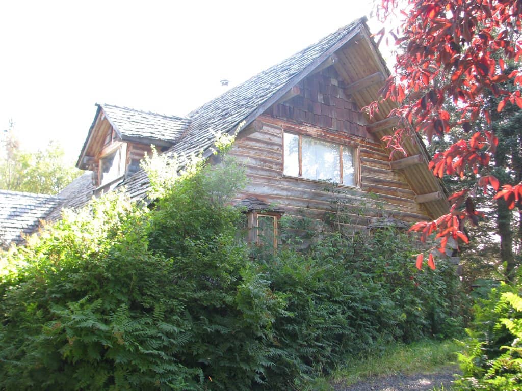 Vertical photo