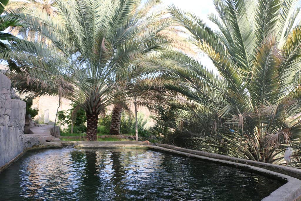 Terraced Gardens