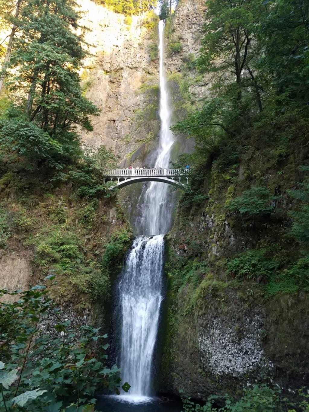 Vertical photo